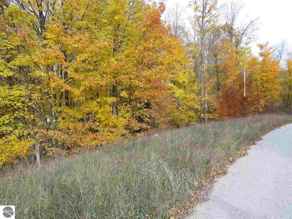 Image 3 of property listing at Lot 79 Eden Street, Kingsley, MI 49649