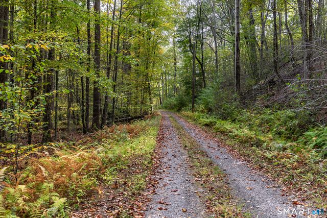 38 West Mountain Lane, Roxbury, CT 06783