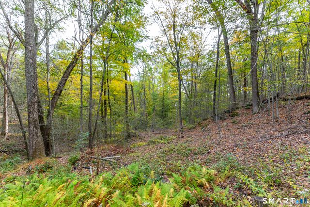 38 West Mountain Lane, Roxbury, CT 06783