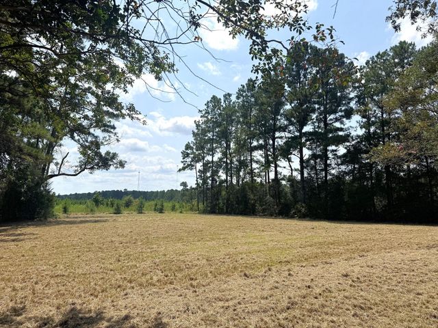 TBD S Pitzer Street, Colmesneil, TX 75938