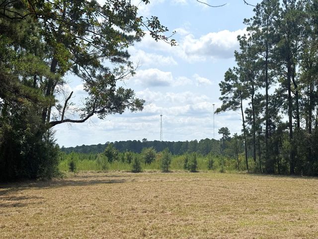 TBD S Pitzer Street, Colmesneil, TX 75938