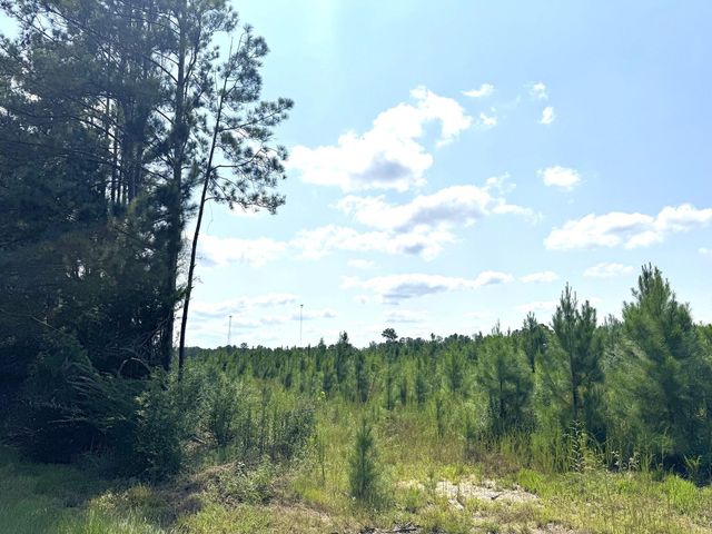 TBD S Pitzer Street, Colmesneil, TX 75938