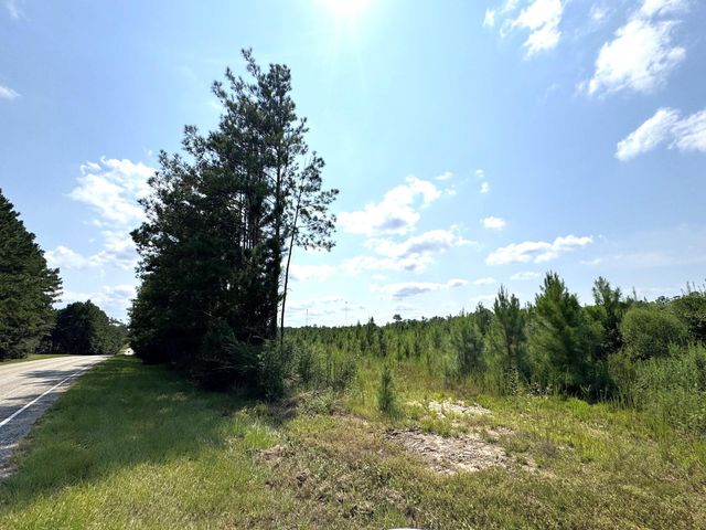 TBD S Pitzer Street, Colmesneil, TX 75938