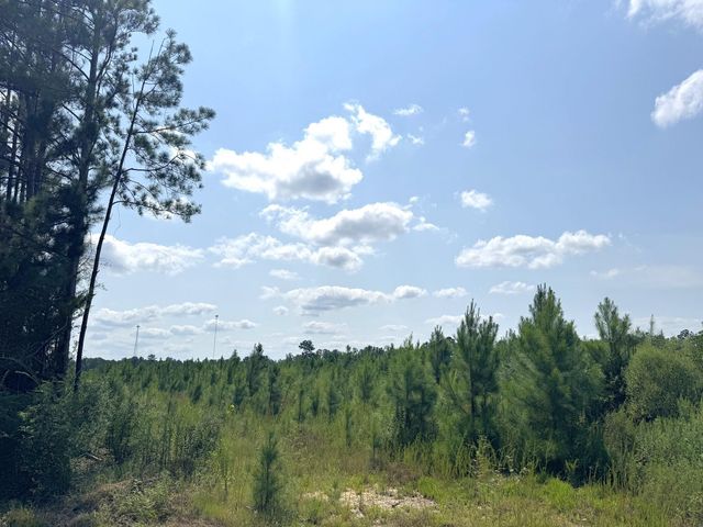 TBD S Pitzer Street, Colmesneil, TX 75938