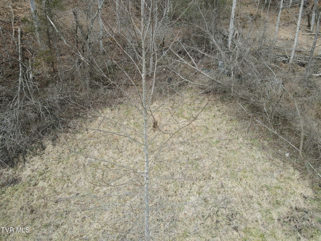 324 Ocoonita Road, Jonesville, VA 24263