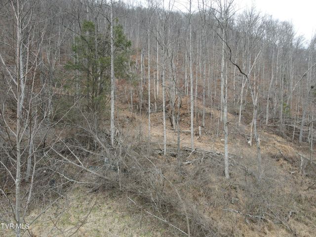 324 Ocoonita Road, Jonesville, VA 24263