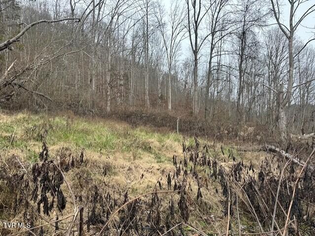 324 Ocoonita Road, Jonesville, VA 24263