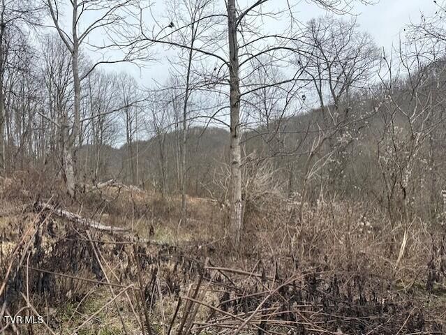 324 Ocoonita Road, Jonesville, VA 24263