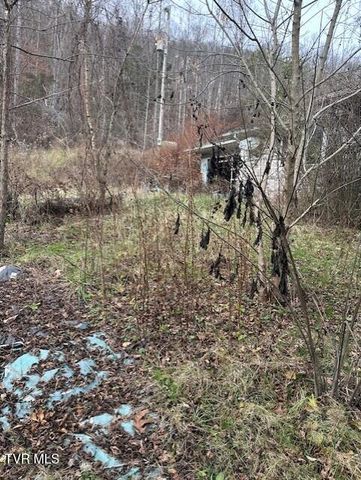 324 Ocoonita Road, Jonesville, VA 24263