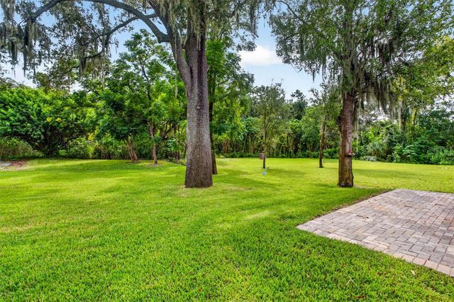 14619 ROCKY BROOK DRIVE, Tampa, FL 33625