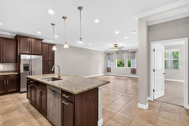 14619 ROCKY BROOK DRIVE, Tampa, FL 33625