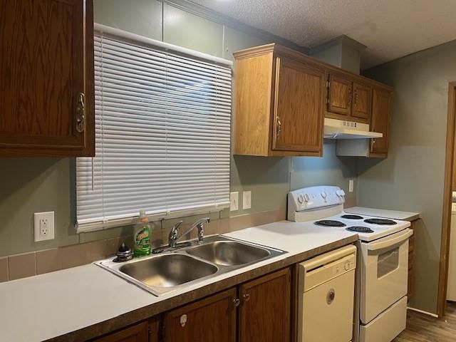 13074 Pine Trail Court, Willis, TX 77318