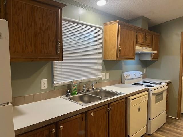 13074 Pine Trail Court, Willis, TX 77318