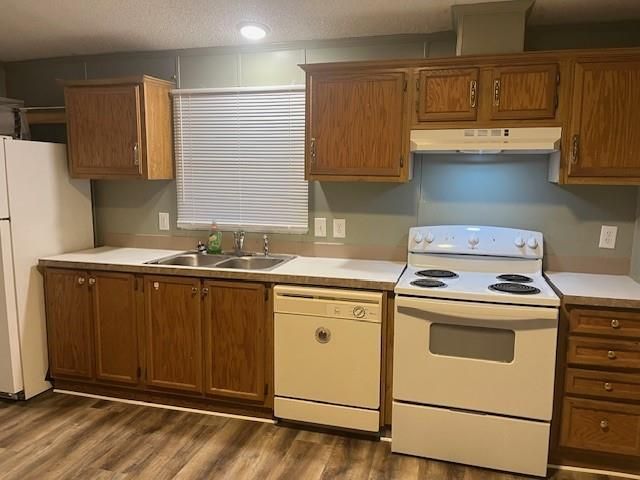 13074 Pine Trail Court, Willis, TX 77318