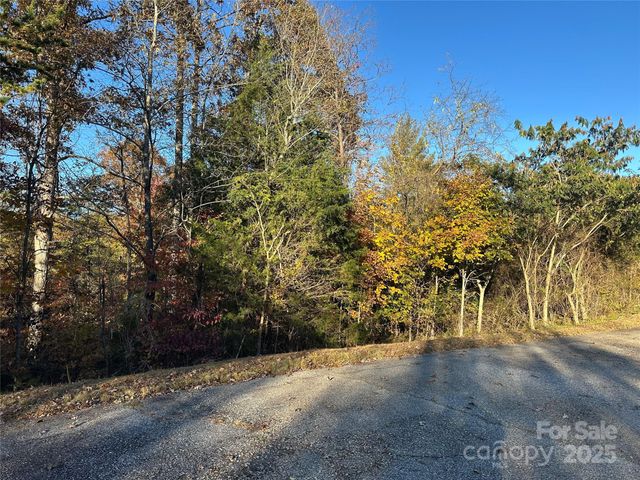 0 Rock Ledge Drive 339, Lake Lure, NC 28746