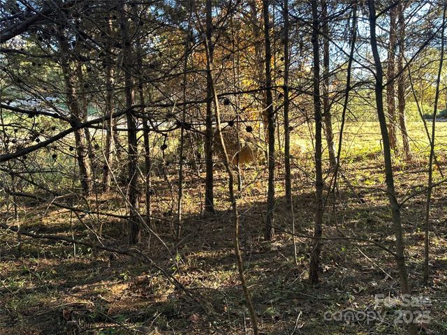 0 Rock Ledge Drive 339, Lake Lure, NC 28746