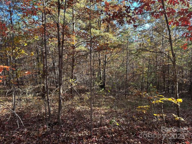 0 Rock Ledge Drive 339, Lake Lure, NC 28746