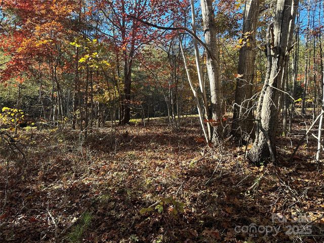 0 Rock Ledge Drive 339, Lake Lure, NC 28746