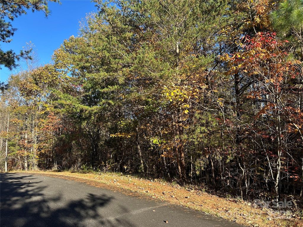 0 Rock Ledge Drive 339, Lake Lure, NC 28746