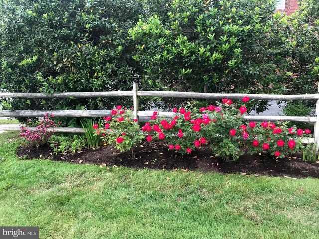 105 SEYMOUR AVE, Saint Michaels, MD 21663