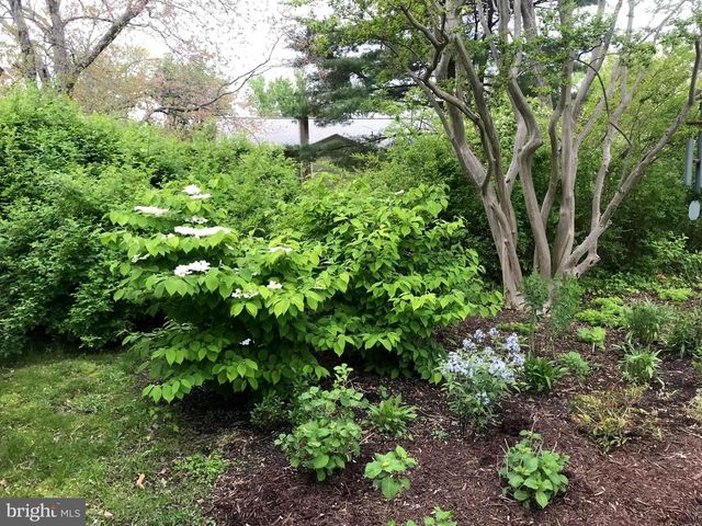 105 SEYMOUR AVE, Saint Michaels, MD 21663