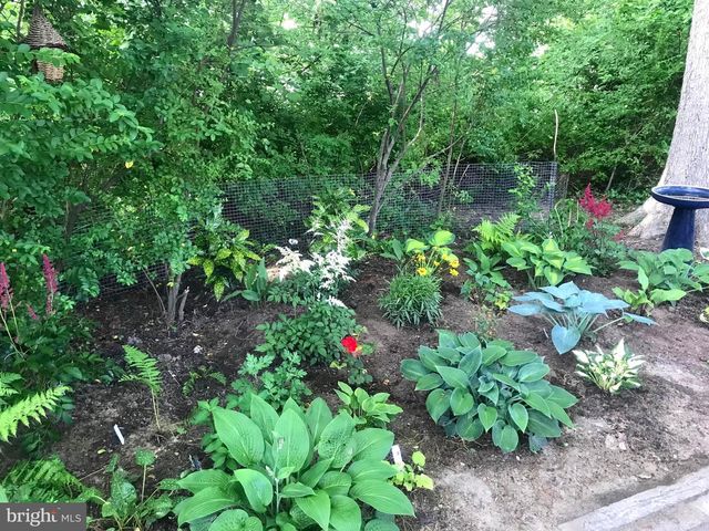 105 SEYMOUR AVE, Saint Michaels, MD 21663