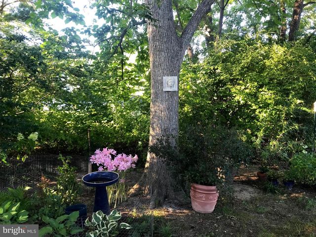 105 SEYMOUR AVE, Saint Michaels, MD 21663