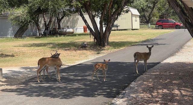 2334 Sanbar Road 104, Possum Kingdom Lake, TX 76449