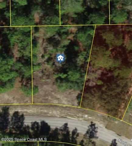 6936 N Lime Drive, Dunnellon, FL 34433