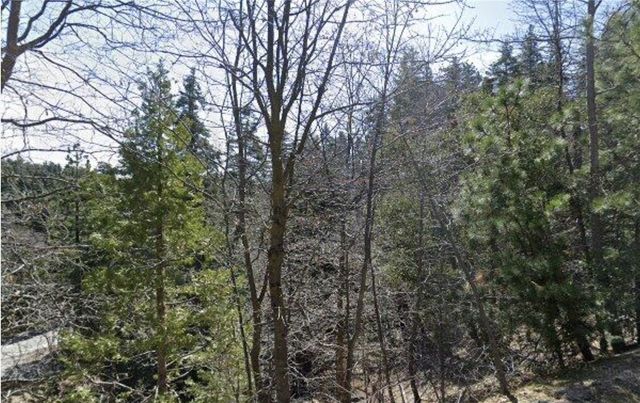 23657 Lo Ln, Twin Peaks, CA 92391