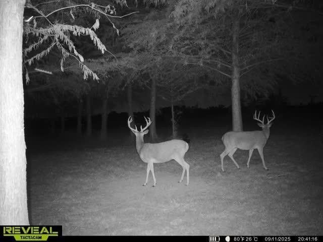 801 Westshore Drive, St Paul, TX 75098