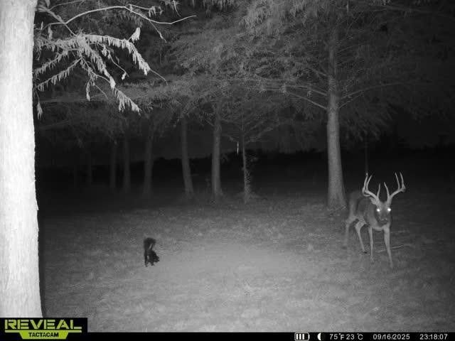 801 Westshore Drive, St Paul, TX 75098