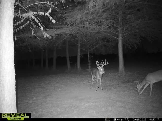 801 Westshore Drive, St Paul, TX 75098