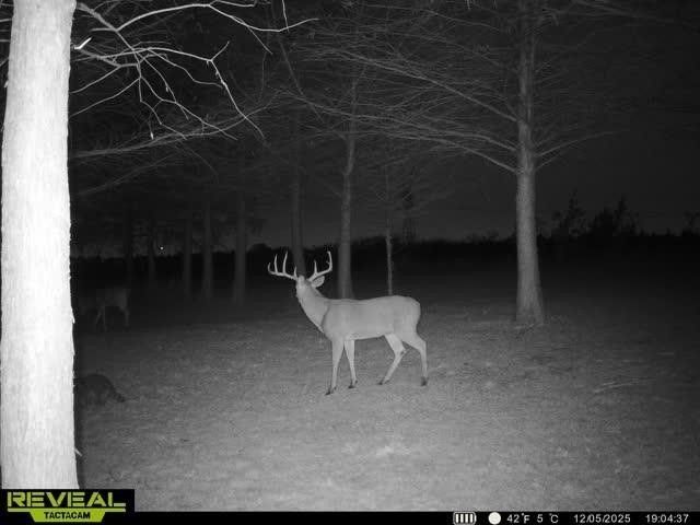 801 Westshore Drive, St Paul, TX 75098