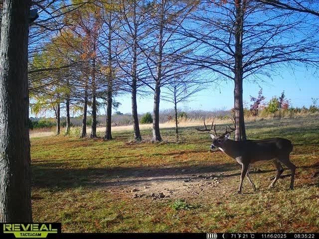 801 Westshore Drive, St Paul, TX 75098