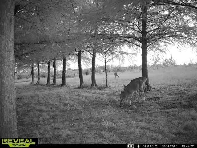 801 Westshore Drive, St Paul, TX 75098