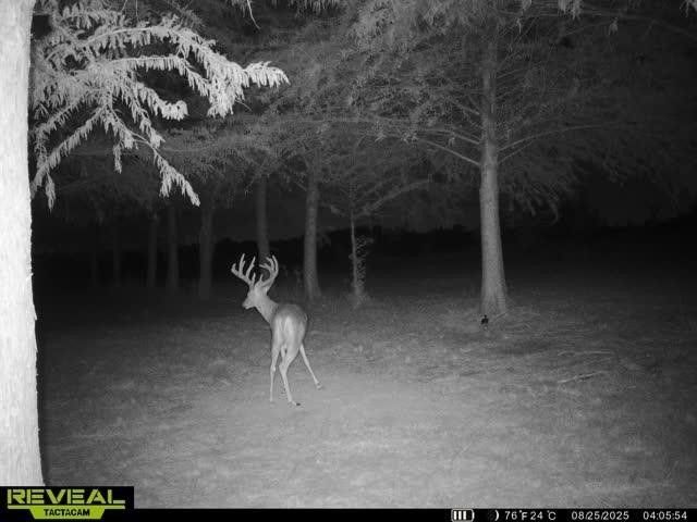 801 Westshore Drive, St Paul, TX 75098