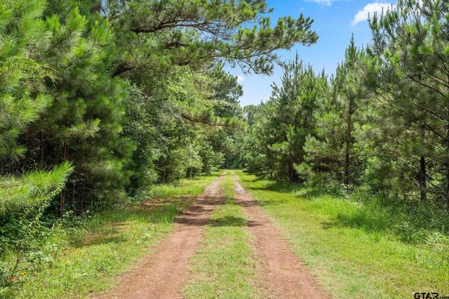 8103 N HWY 259, Omaha, TX 75571