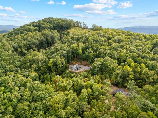 890 Hickory Drive, Mineral Bluff, GA 30559