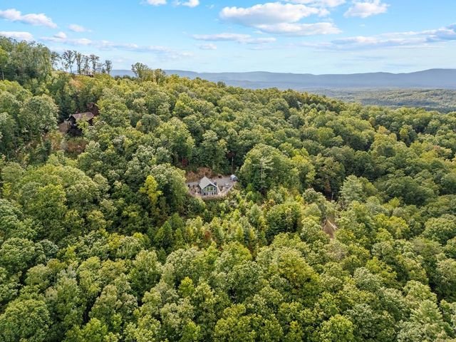 890 Hickory Drive, Mineral Bluff, GA 30559