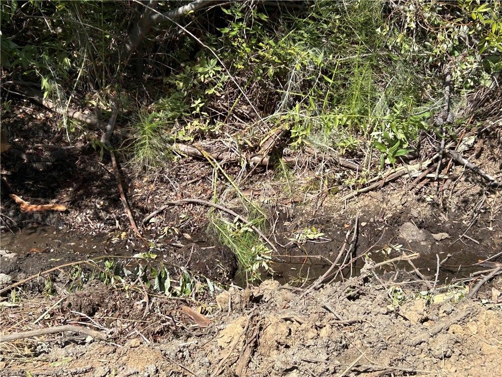 Image 5 of property listing at 7396 15th, Lucerne, CA 95458