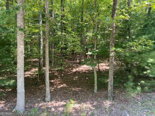 6.93 AC Timber Ridge Road, Blairsville, GA 30512