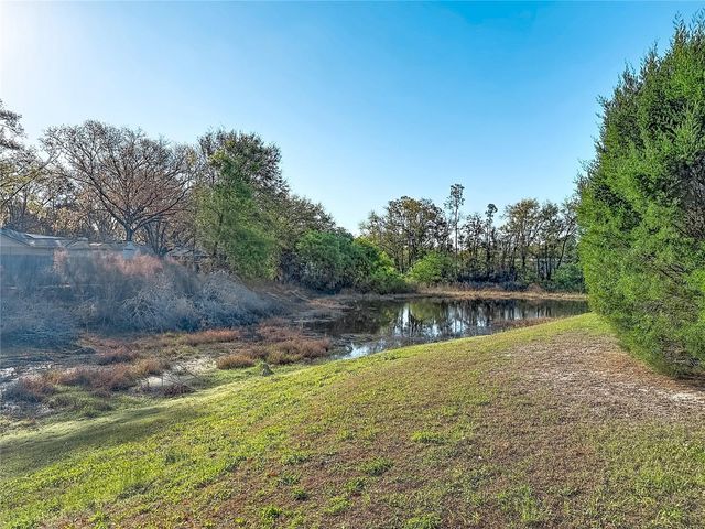 1040 SAWYERS COURT, Lutz, FL 33559
