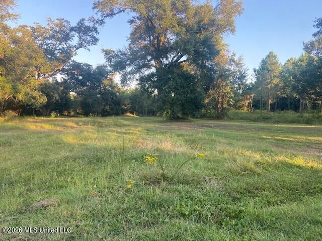 Sandy Hook Drive, Pass Christian, MS 39571