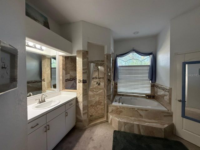 319 COUNTRY VINEYARD DRIVE, Valrico, FL 33594