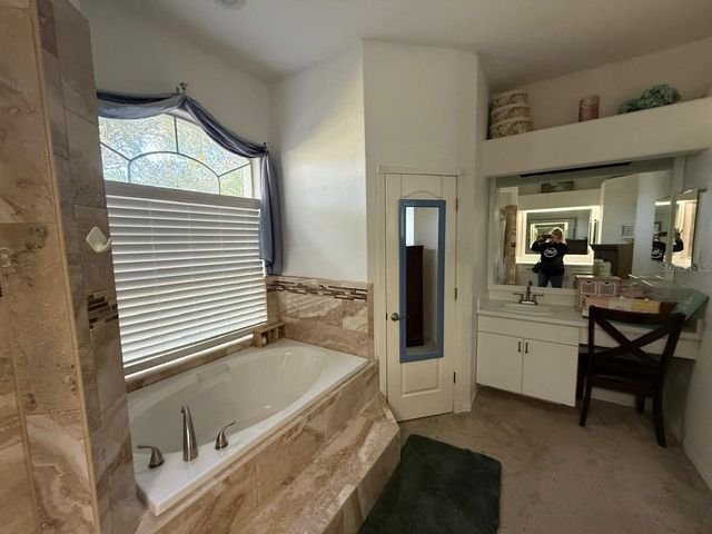 319 COUNTRY VINEYARD DRIVE, Valrico, FL 33594