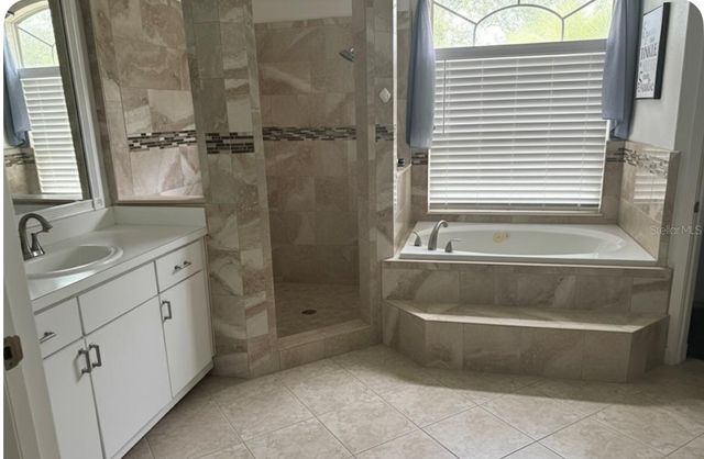 319 COUNTRY VINEYARD DRIVE, Valrico, FL 33594