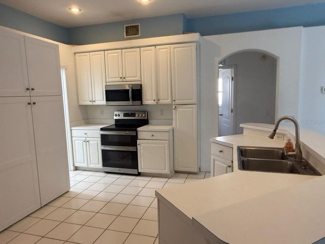 319 COUNTRY VINEYARD DRIVE, Valrico, FL 33594