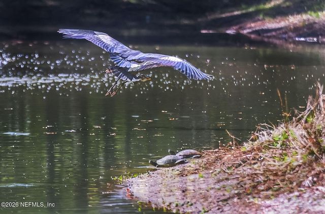 6087 MAGGIES Circle 106, Jacksonville, FL 32244