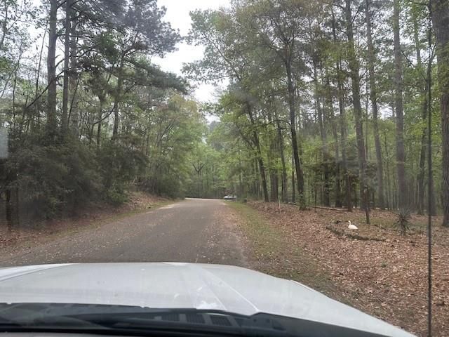 170 Altwood Drive, Coldspring, TX 77331